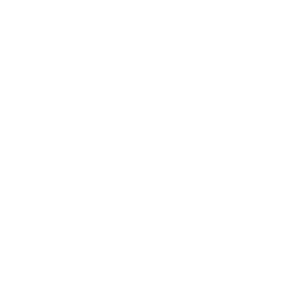 GOLLOG