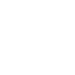 Firestone